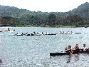 Regatta10tn.JPG (5012 bytes)