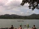 Regatta 5