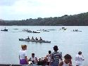 Regatta8tn.JPG (3916 bytes)
