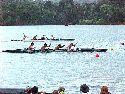 Regatta9tn.JPG (5411 bytes)