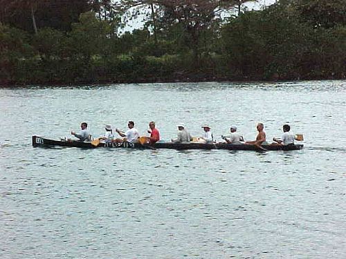 D1Norm16.jpg (51846 bytes)