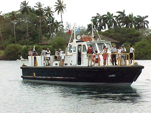 D1Norm19.jpg (52206 bytes)