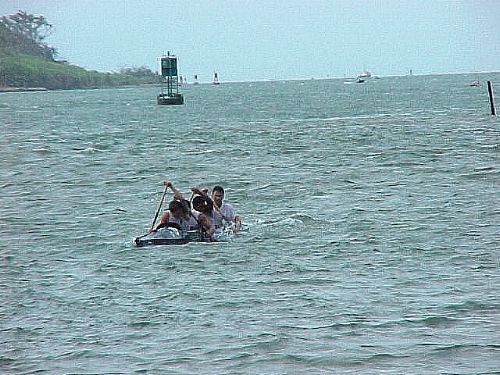 D1Norm29.jpg (56111 bytes)