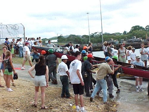 D1Norm33.jpg (49078 bytes)