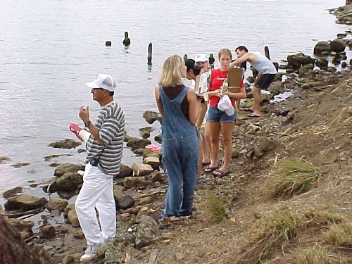 ESJ24_500.JPG (56272 bytes)