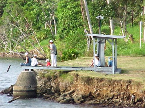 ESJ25_500.JPG (66283 bytes)