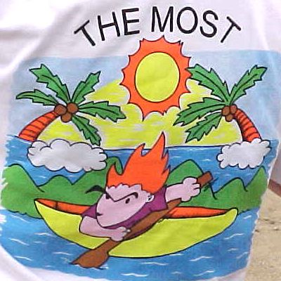 ESJTShirt1.JPG (43940 bytes)