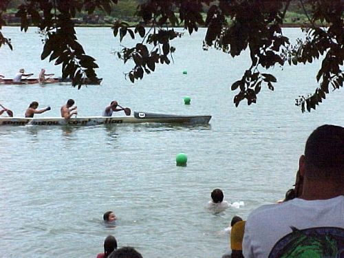 Regatta16.jpg (48695 bytes)