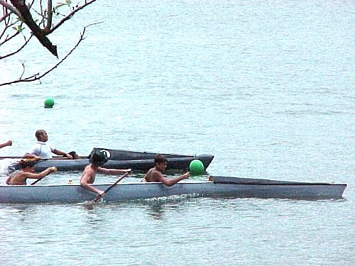 Regatta17.jpg (50505 bytes)