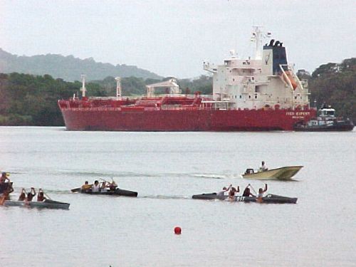 Regatta18.jpg (30561 bytes)