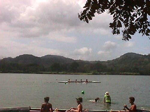 Regatta 4