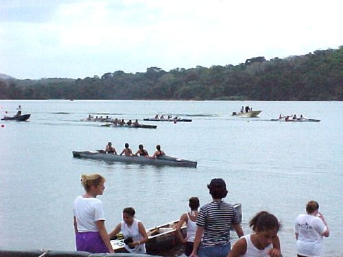 Regatta8.jpg (31665 bytes)