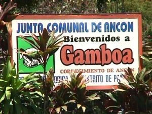 Gamboa1a300.JPG (26680 bytes)