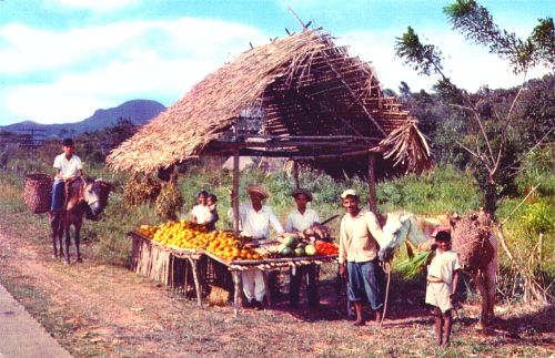 Road Side Stand.JPG (53663 bytes)