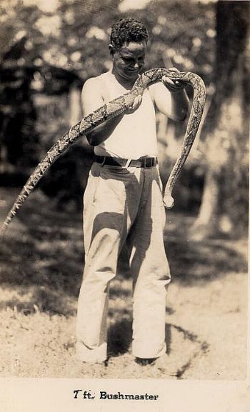 davis26a.JPG (41788 bytes)